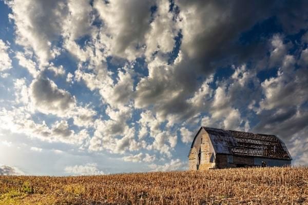 Clouds over wheat field and farmhouse in Warrensburg, IL